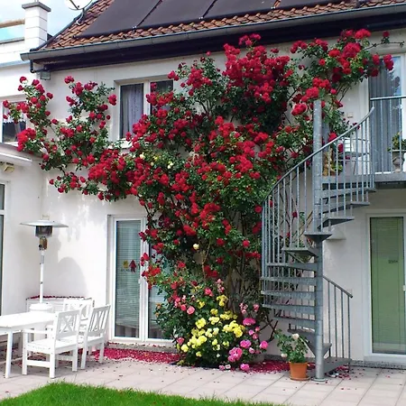 Apartament Am Turm Schonau (Rhein-Neckar-Kreis)